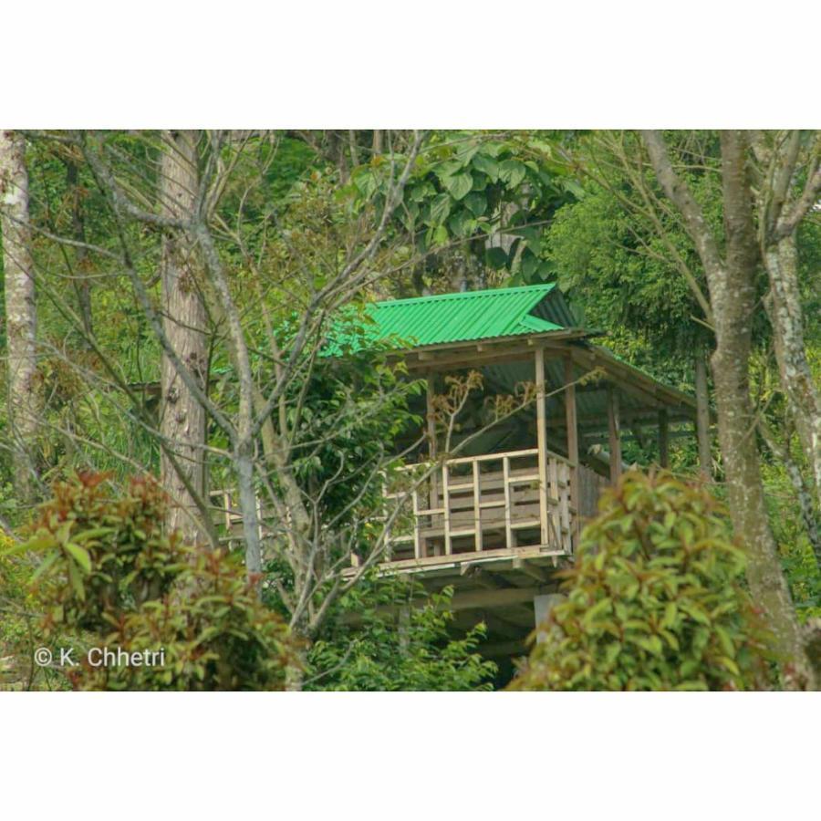 Suma Aavaas Farmstay 다르질링 외부 사진