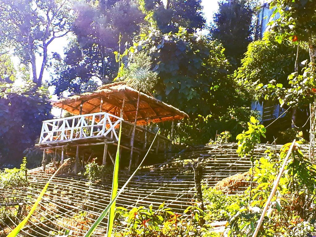 Suma Aavaas Farmstay 다르질링 외부 사진